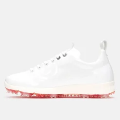 Avanti Vit>Duca del Cosma New