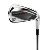 Dynapower Max Lady - Grafit>Wilson