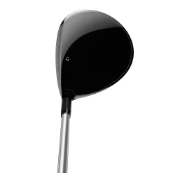 Qi10 Max>TaylorMade Hot